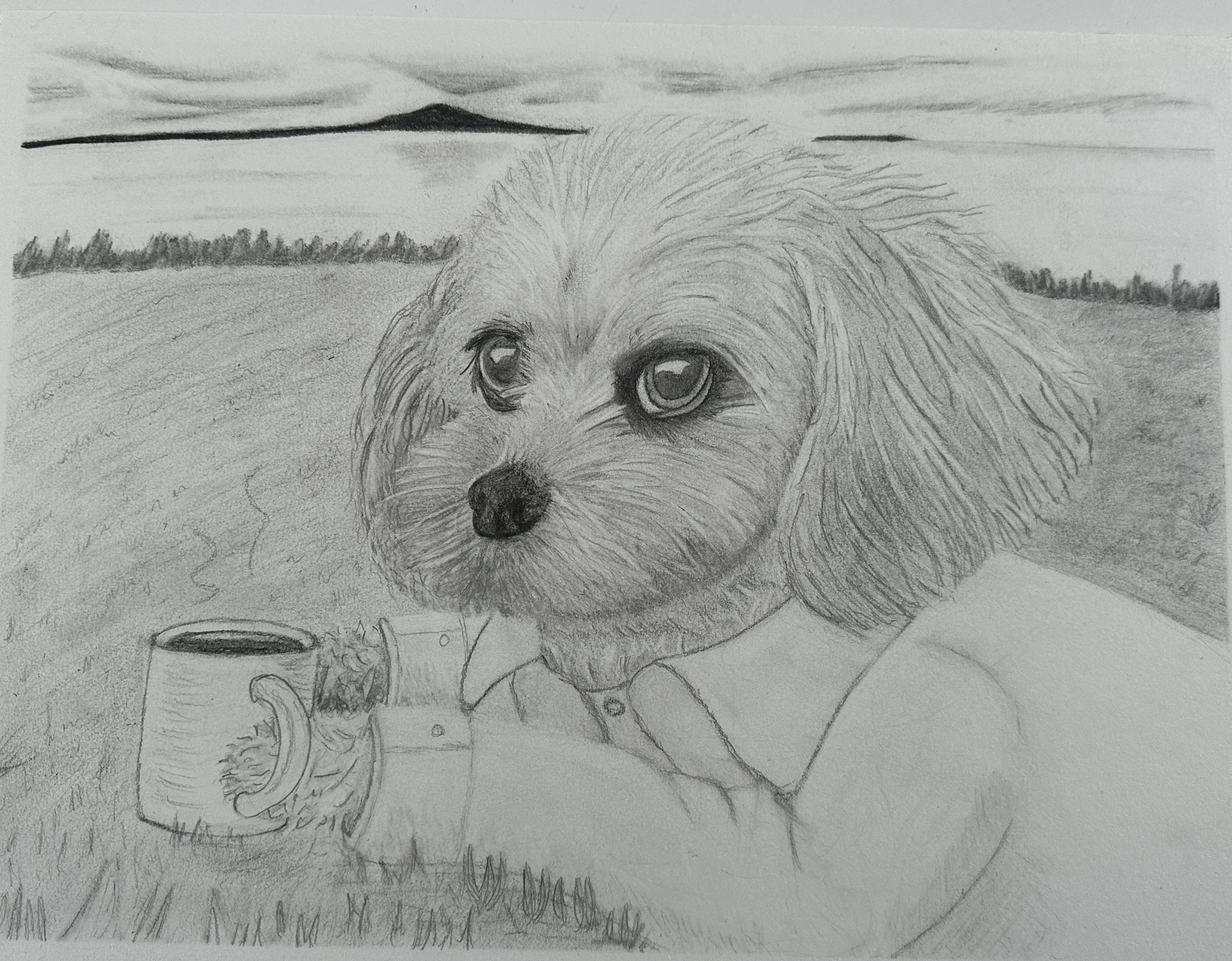 Comet our friendly, clinic support Dog