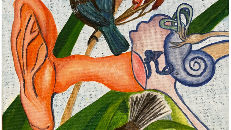 Ear canal, Ear drum, middle ear, cochlear and balance system